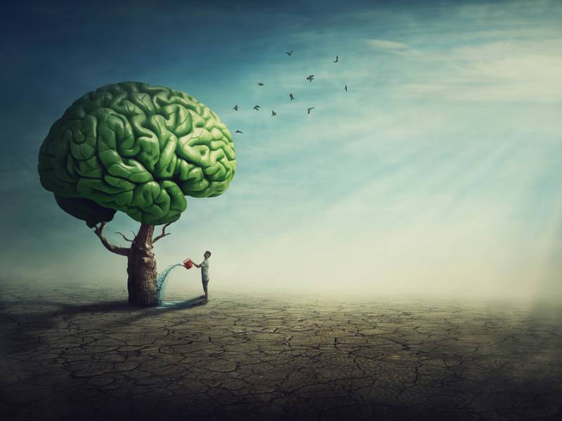 imagem de banco de imagens ilustra o tema saúde mental, com uma pessoa regando uma árvore cujo formato lembra um cérebro