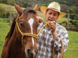 Jovem cavaleiro montando um cavalo pulando uma cerca em uma