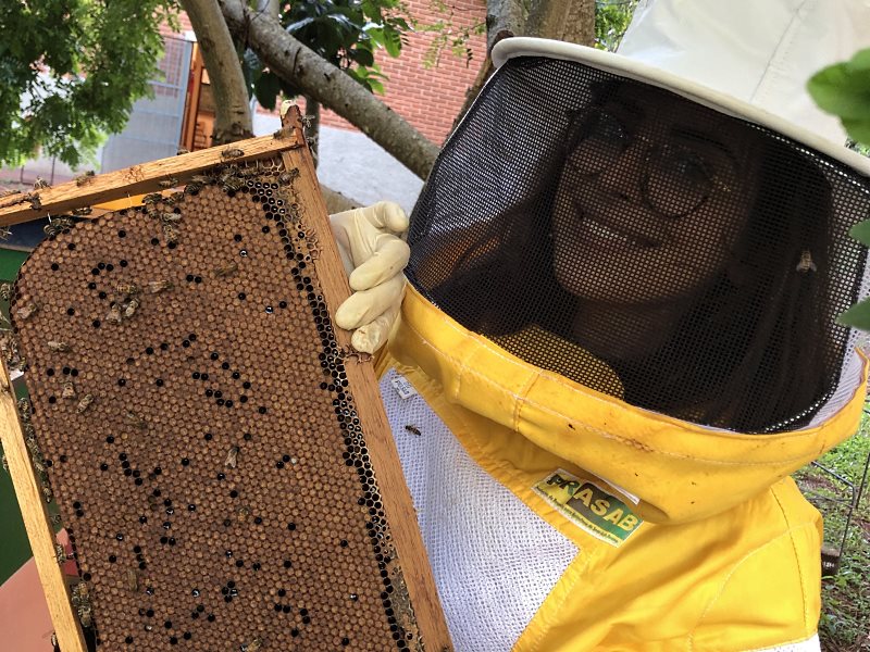 APIME - Associação Pernambucana de Apicultores e Meliponicultores