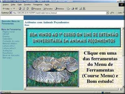 Tela do 1º Curso de Ensino a Distância da UNESP