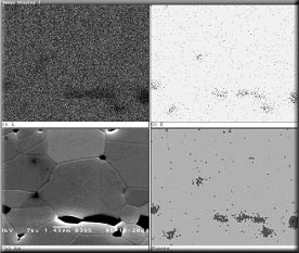 Ampliação de imagens - colônia de bactérias