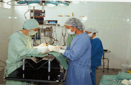 Residência Veterinária