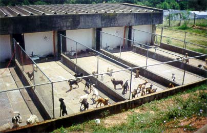 Biotério central da Unesp - câmpus de Botucatu