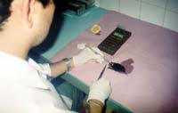 Departamento de Higiene Veterinária e Saúde Pública da FMVZ-Botucatu