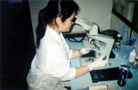 Departamento de Higiene Veterinária e Saúde Pública da FMVZ-Botucatu