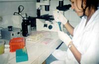 Departamento de Higiene Veterinária e Saúde Pública da FMVZ-Botucatu