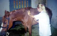 Departamento de Higiene Veterinária e Saúde Pública da FMVZ-Botucatu