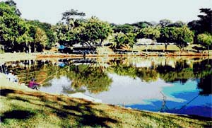 Pescaria em Jaboticabal