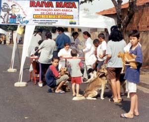 Vacinação anti-rábica em Botucatu