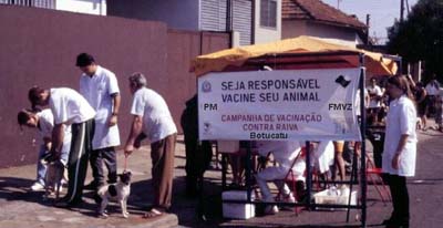 Vacinação anti-rábica em Botucatu