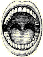 Ilustração