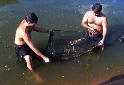 Manejo de peixes no câmpus de Jaboticabal