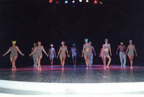 Grupo xciton - FOTO 2
