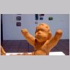 Exposição Terracota